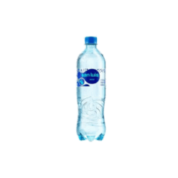 AGUA SAN LUIS C/GAS 625ML(GAS)